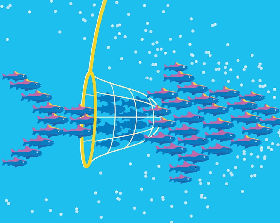 Small fish swimming through holes in net